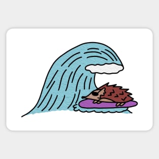 Surfing Hog Sticker